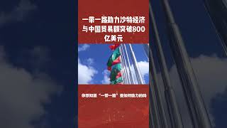 一带一路助力沙特经济 与中国贸易额破800亿美元 #一带一路 #中东国家 #沙特阿拉伯 #沙特 #中国 #经济 #贸易 #丝绸之路 #全球格局