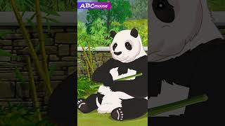 Pandas | Wolong Panda Reserve | ABCmouse #learning #education #animals #panda #pandas