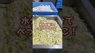 【徹底撮影】お漬物メーカー工場の裏側 #漬物 #工場 #キムチ