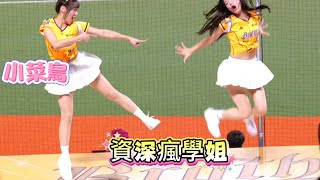 當小菜鳥jjubi與超瘋學姊凱蒂相遇時 😂#jjubi #passionsisters #cheerleader @jjubi_jjubi_