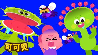 食虫植物吃虫子啦！可可贝 童谣 Cocobi Kids Songs & Nursery Rhymes