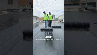 Waterproofing Myths you didn’t know | Tikidan