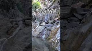 廬山野溪溫泉位於塔羅灣溪畔 #雨林老爬