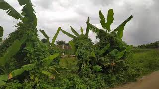 সবুজে ঘেরা পূর্বাচল ভ্রমণ | Beautiful Purbachal City Tour | Beauty of Purbachal