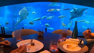 Fine Dining at Ocean Restaurant