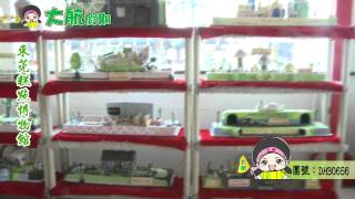 大航假期 BIG LINE HOLIDAY LTD 團號 DH30656N 惠東海公園度假酒店+東莞華通城國際大酒店 三天為食純玩團