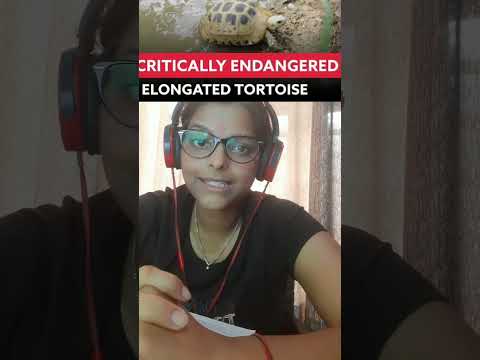 1 minutes upsc series | Elongated Tortoise #upsc #currentaffairs #ssc #bpsc #uppcs #youtubeshorts