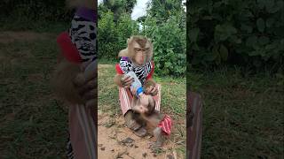 Amazing Video Best SokYaa,Sokhaa, Pao & Mom Are Famous Around The World #shorts