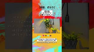 【初恋、ざらり】恋の色 / ヒグチアイ【歌ってみた】#初恋、ざらり #恋の色 #歌ってみた #アカペラ #ピーマソ #shorts
