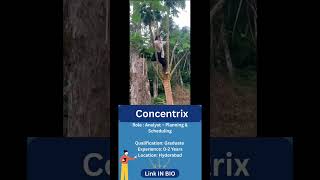 Concentrix Hiring 2025 | Analyst – Planning & Scheduling | Up to ₹7 LPA Salary