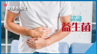 【健康小貼士】益生菌除了改善腸道健康，還可以提升免疫力 | 認識益生菌功效