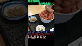 青春18きっぷを使って訪れた静岡県にある清水港市場のお得なまぐろ丼の紹介【魚市場食堂】【青春18きっぷ】