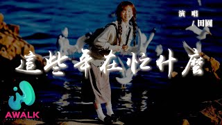 田園 - 這些年在忙什麼『明明是為了生活才風裡雨裡奔波，可奔波到頭卻輸了生活。』【動態歌詞 | Pinyin Lyrics】【AWALK MUSIC】