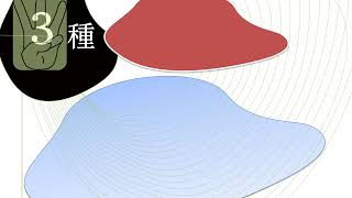 3種『非多角化』的策略-概說