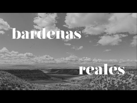 Un día ví cómo el viento se llevaba las Bardenas Reales.