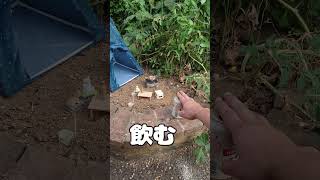 Garden Camp 2