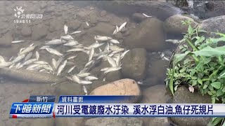 環境部和環團合作 掠著關西河川汙染案開罰 | 公視台語台 | 20250313