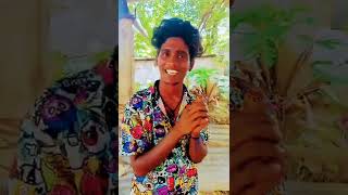 vanga pa... 🥰.                              #youtubeshorts #youtubelove#youtuber #supportforsupport