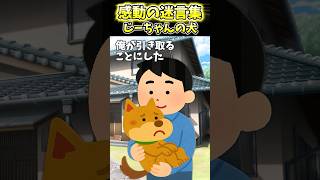 【2chショート】じーちゃんの犬がくれた宝物 #2ch #2ch感動