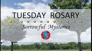 Tuesday Rosary • Sorrowful Mysteries of the Rosary 💜 July 29, 2025 - Multiple Languages Available!