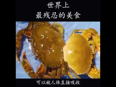 世界上最残忍的美食，本以为是重生，没想到是往生！