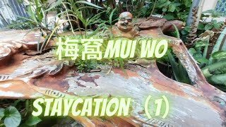 Mui Wo Staycation (1) - First Day to Ping Chau, keep saying  Mui Wo, its Ping Chau tea restaurant.