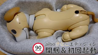 【90秒に圧縮】開梱！aibo きなこエディション