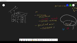 The inferior temporal cortex and visual processing