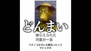 【仲間売ったな】殿堂入りボケてがマジでツッコミどころ満載だったwww【1677弾】