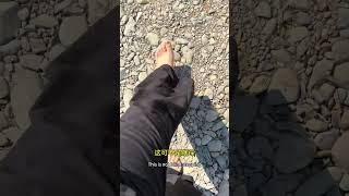 三伏天光腳踩地，真香！老祖宗的“土法養生”絕了！踩了10分鐘，腳底板暖暖的，渾身上下都舒服了！#地灸 #中式養生  #女性健康