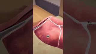 I MADE HARDEST DISH in Chef Life: A Restaurant Simulator #shorts