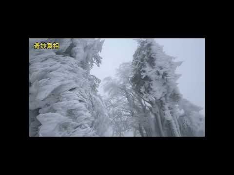 冰雪世界 #世界