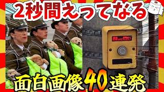 [🔥 Hilarious] 40 funny images that will make you go "Huh?" for 2 seconds! Garu-chan Summary/2ch