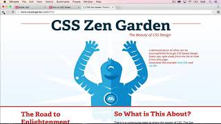 The Web Development - #24 CSS Basics