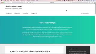 Gradients animation in Genesis using Granim.js