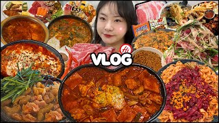 Mukbang Vlog? Daily Vlog!! Mukbang of Doojjim Spam Budae Jjimdak, Yukhoe Kalbim Noodles, Haidilao...