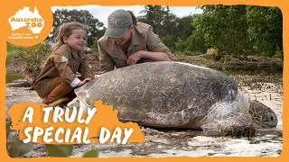 Grace helps her turtle friend return to the wild | Australia Zoo Life