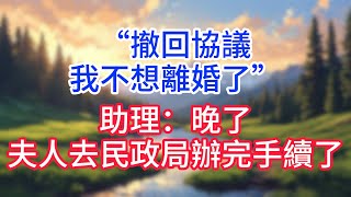 【完結】“撤回協議，我不想離婚了”助理：晚了，夫人去民政局辦完手續了！#完结文#情感故事#一口气看完