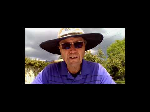 Healthy Habit Mondays -  Safety