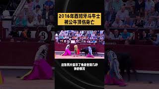 2016年西班牙斗牛士被公牛顶伤身亡