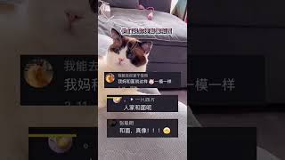luca:听说你们说我搓脚像和面?是时候证明自己了#萌宠出道计划#帮猪比编个搓脚舞#创作热词#猫