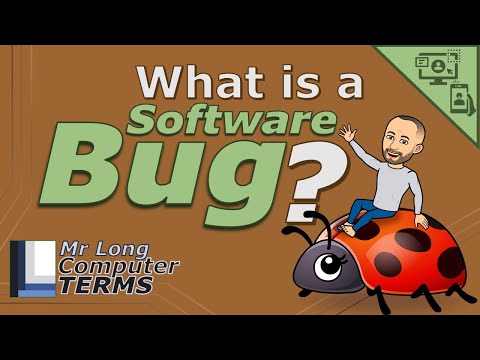 Mr Long Computer Terms | What is a Software Bug?