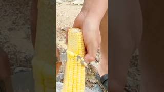 Modren Farming #shorts #agriculture #farming2024 #youngfarmers #EliteShortsUnleashed #2258
