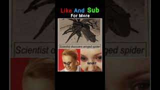 #funnyshorts #memeshorts #techhumor #relatable  #funny  #shorts #lol #fyp #viralmeme  #funnytech