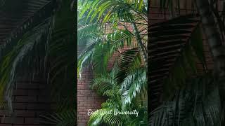 #ewu #reels #eastwestuniversity #rainyday #rain