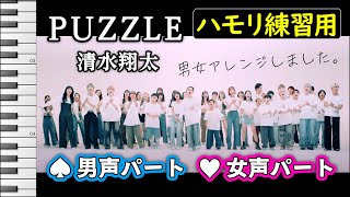 PUZZLE / 清水翔太(ハモリ練習用) 男女デュエットアレンジ パート別 歌詞付き音程バー有り