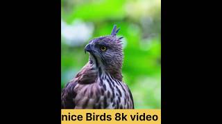 full HD video #hd #4k #ytool