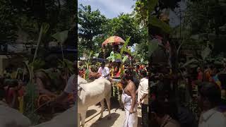 Mulapari முளைப்பாரி ஊர்வலம் திருச்சோற்றுத்துறை #ஐயனார் #god @AnnapuraniArakkatalai