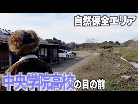 【未公開】センバツ出場校中央学院高校の周りは自然環境保全されてます！【谷津ミュージアム】#千葉県 #我孫子市 #散歩