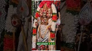 ஓம் முருகா 🙏🙏🙏#ommuruganthunai #ஓம்முருகாபோற்றி #devotional #முருகன்துணை #motivation #முருகாசரணம்